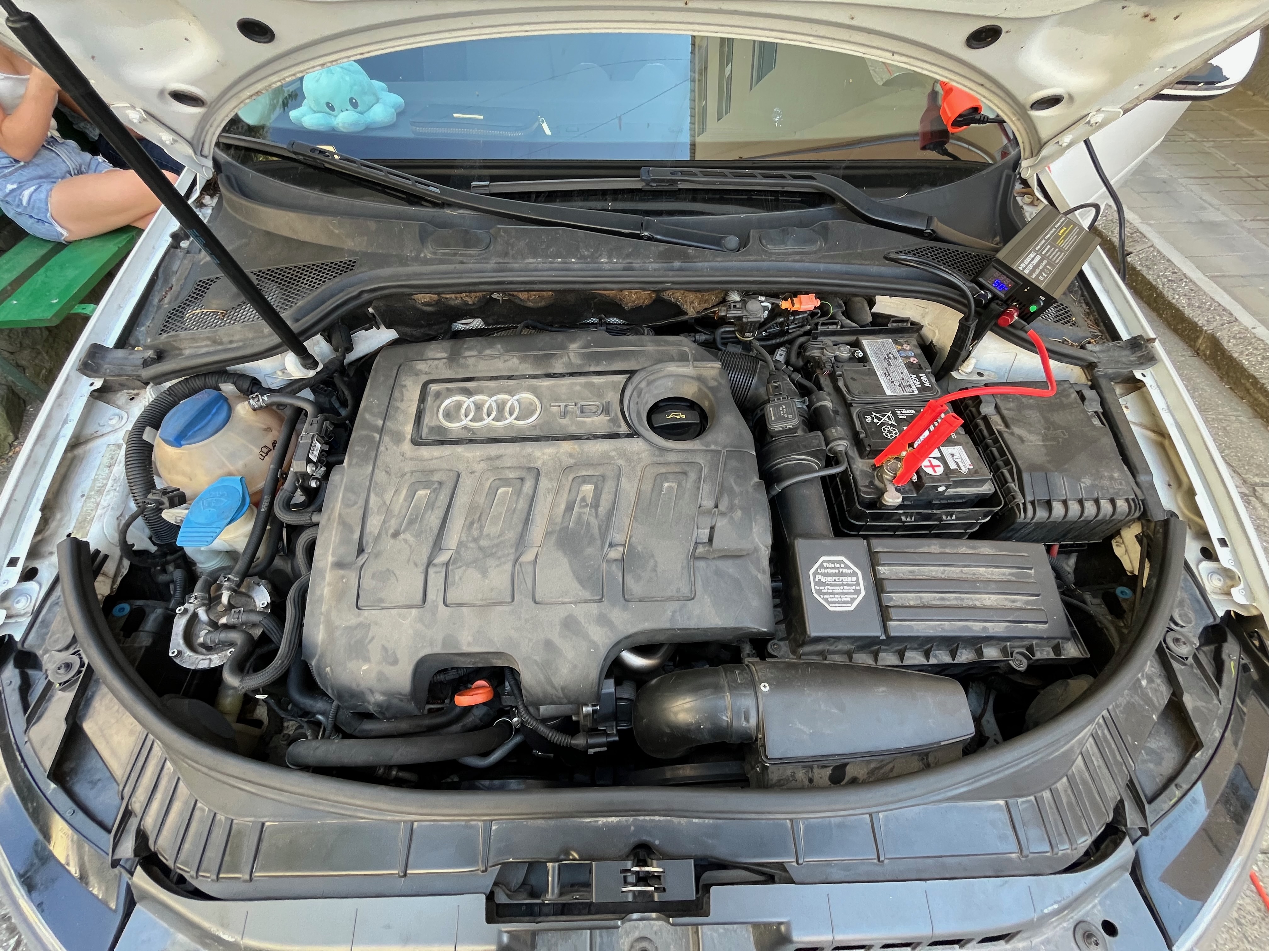 Audi A3 8V 1.6 TDI DPF EGR Off Dashboard Clean