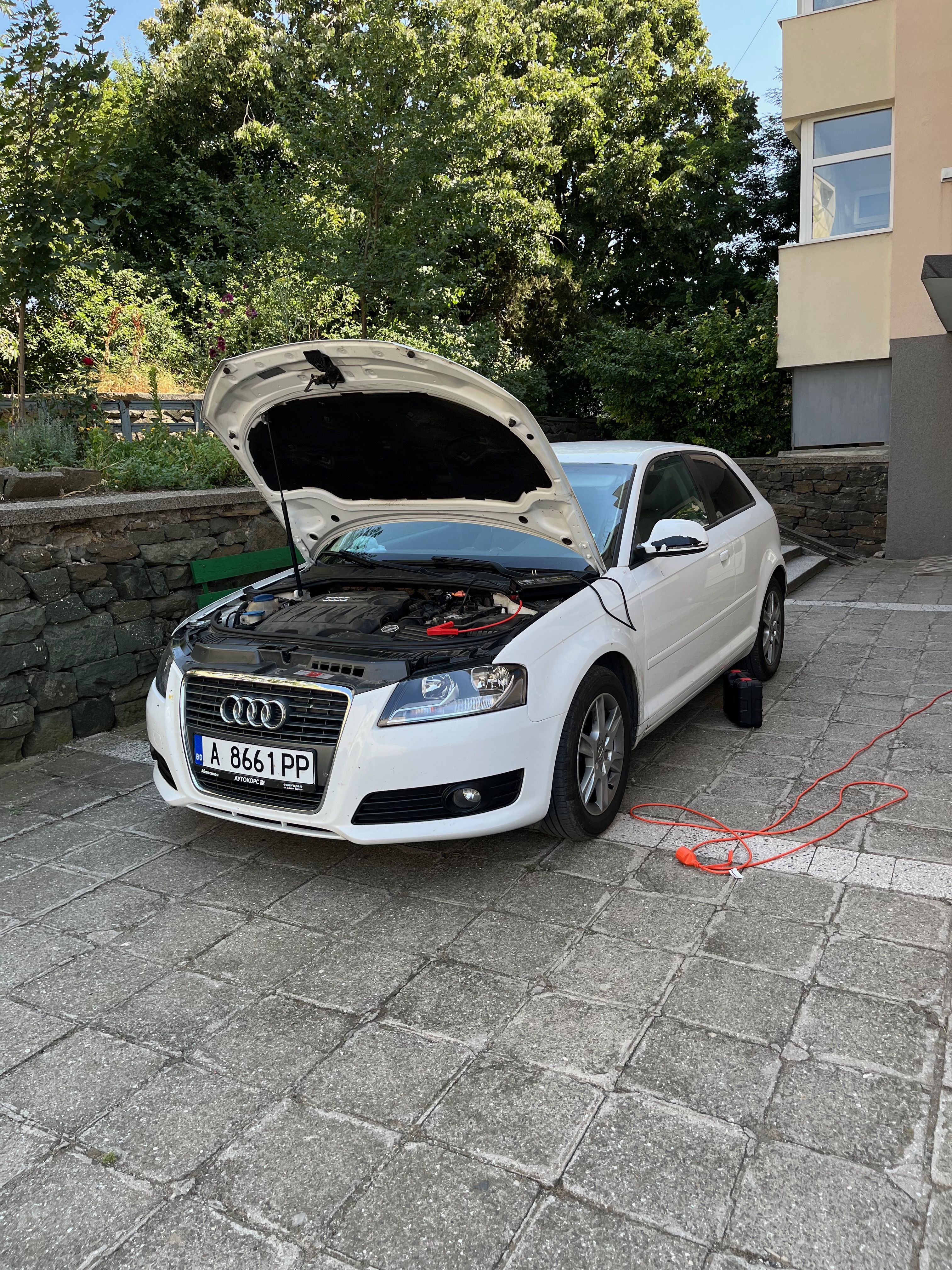 Audi A3 8V 1.6 TDI PCR 2.1 Flex Magic Motorsport Diagnostics